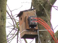 nest box version 3